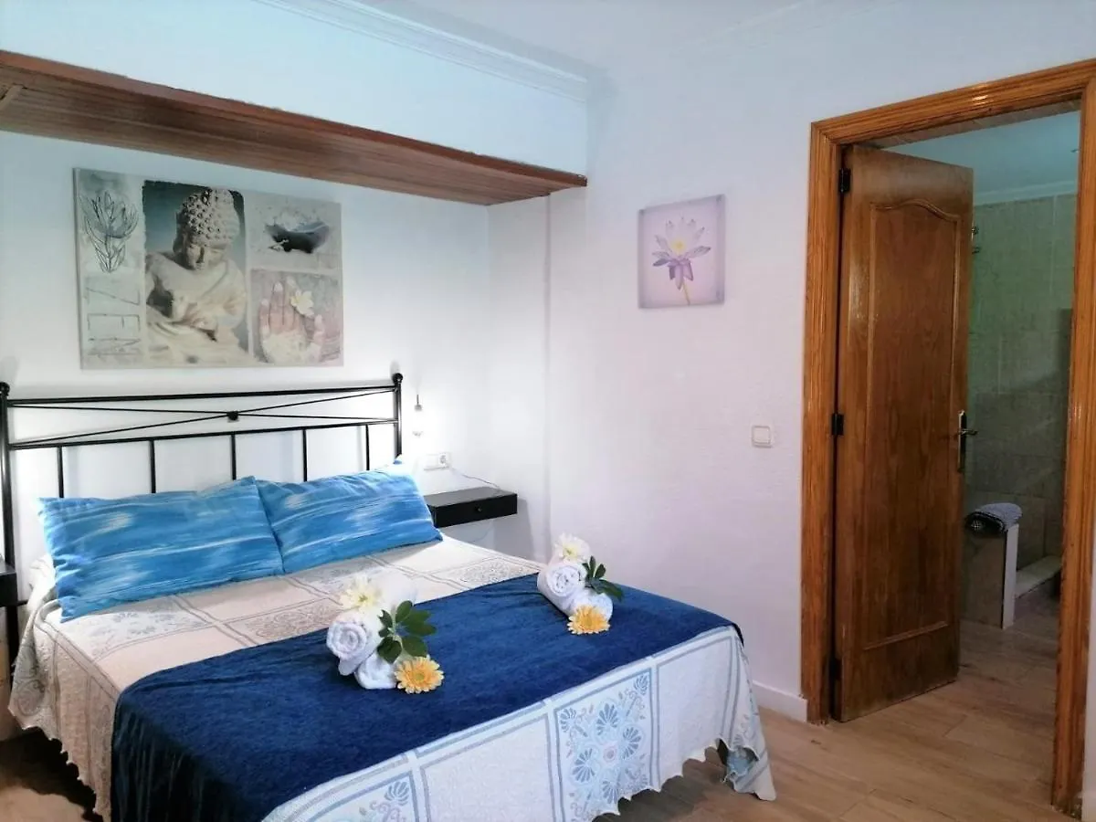 Ideal Property Mallorca - Casa Paqui Alcudia  0*, Alcudia (Mallorca) Spain